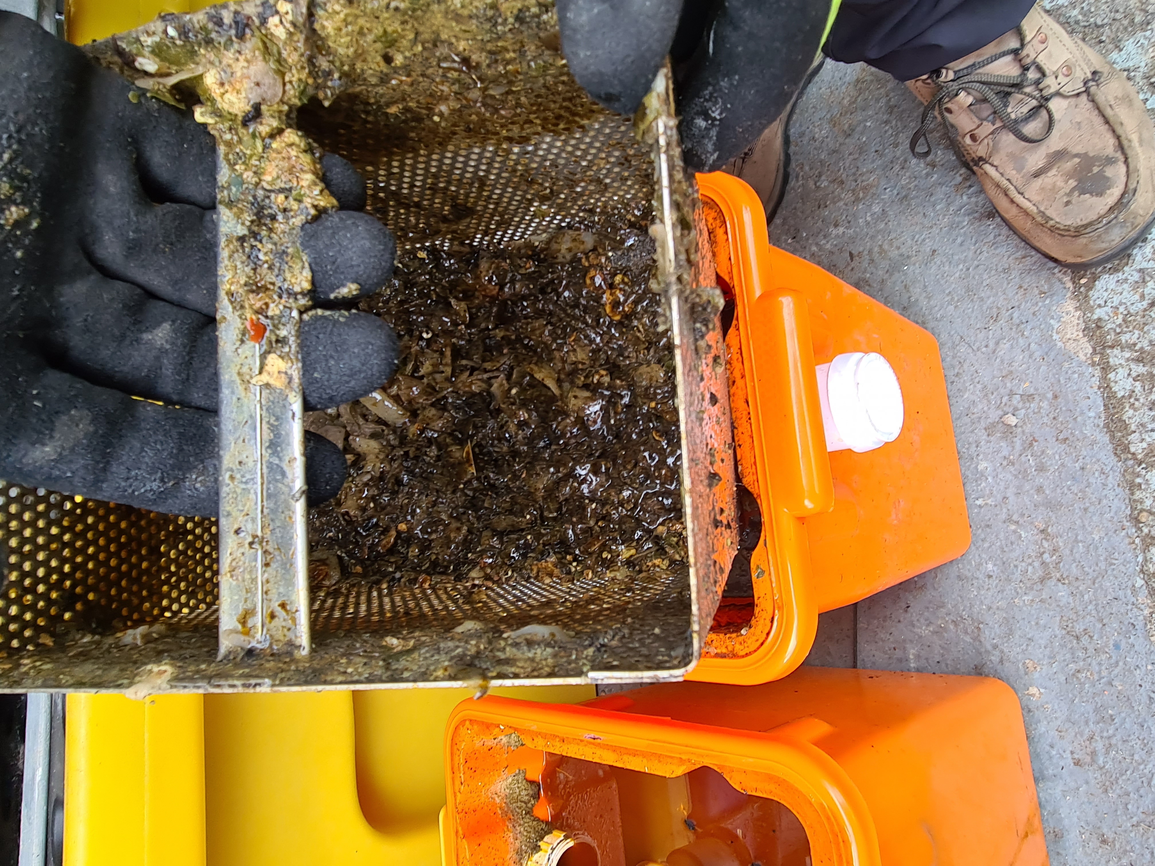 grease trap